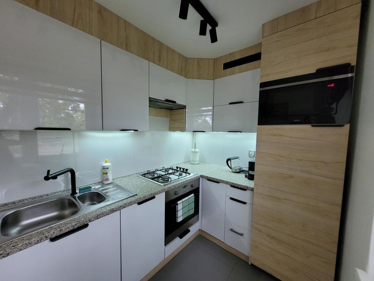 Apartament Zabrze Grzybowska Dış mekan fotoğraf